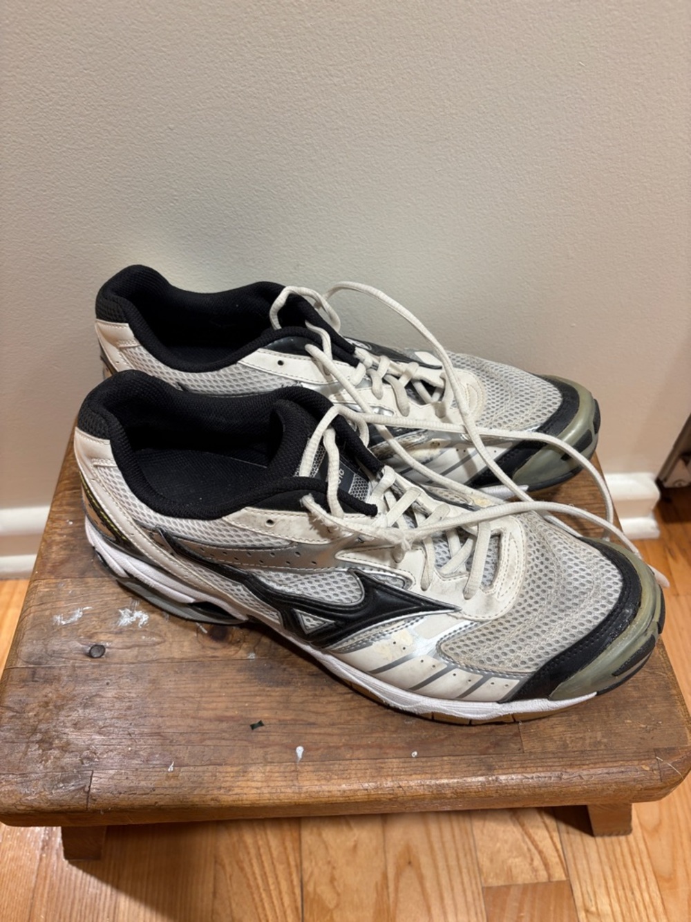 Mizuno Wave Bolt Sneakers